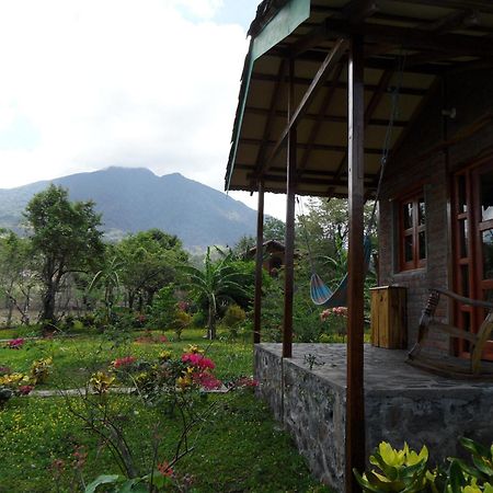 Finca Montana Sagrada Merida Bilik gambar