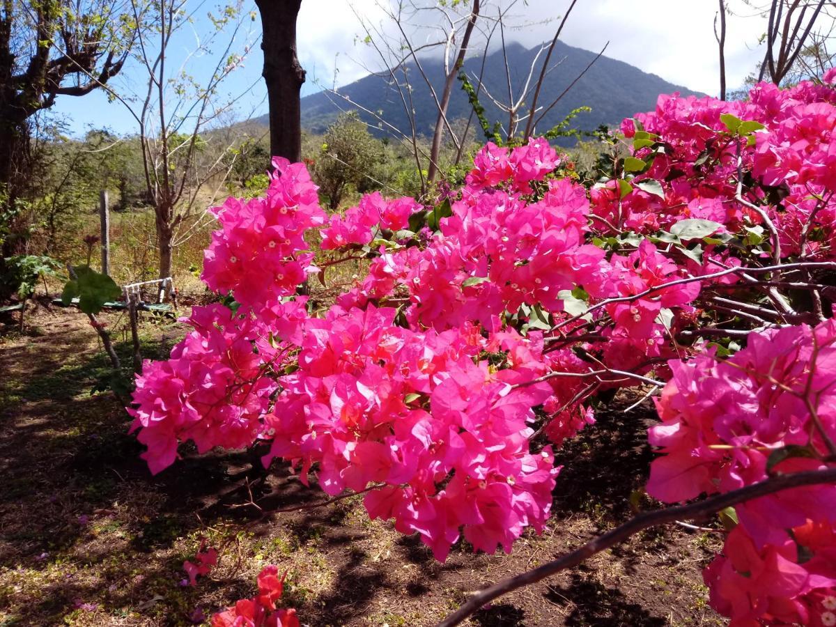 Finca Montana Sagrada Merida Luaran gambar
