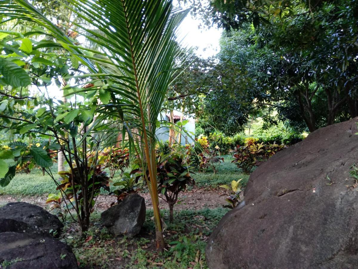 Finca Montana Sagrada Merida Luaran gambar